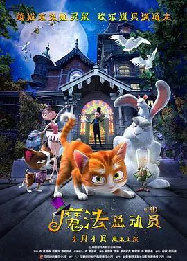 日本不卡不码视频在线观看
